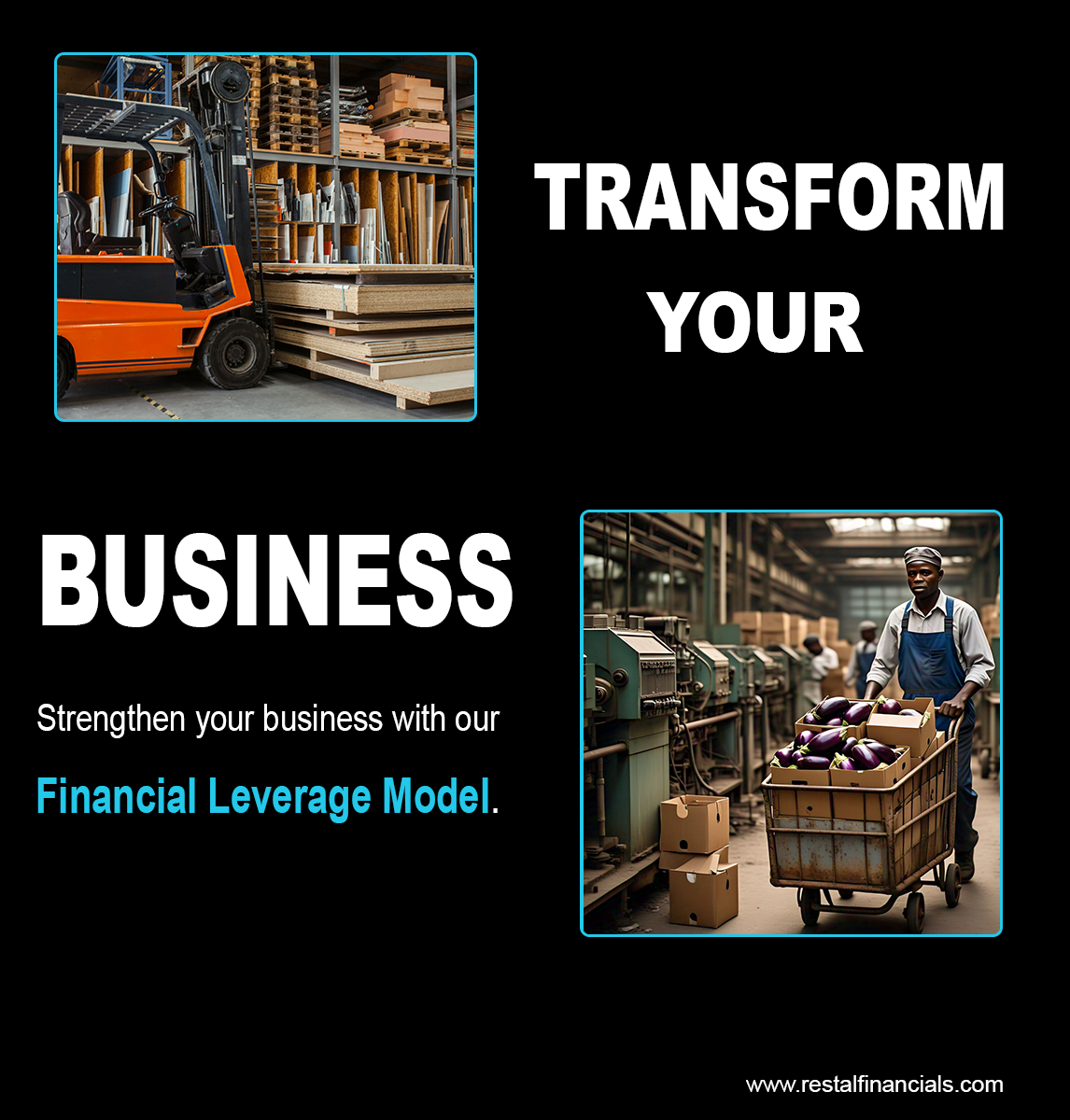 financial leverage